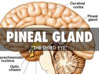 Pineal Cleanse image 2